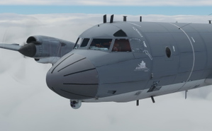 Lockheed CP-140 Aurora RCAF thumbnail 4