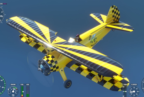 AIRPAC1-Stearman-Bee Keeper