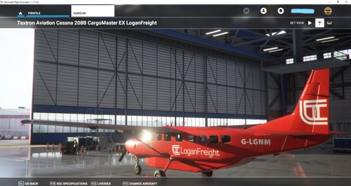 Cessna 208 LoganTravel-Scotlands Virtual Airline FREIGHT 8k Livery