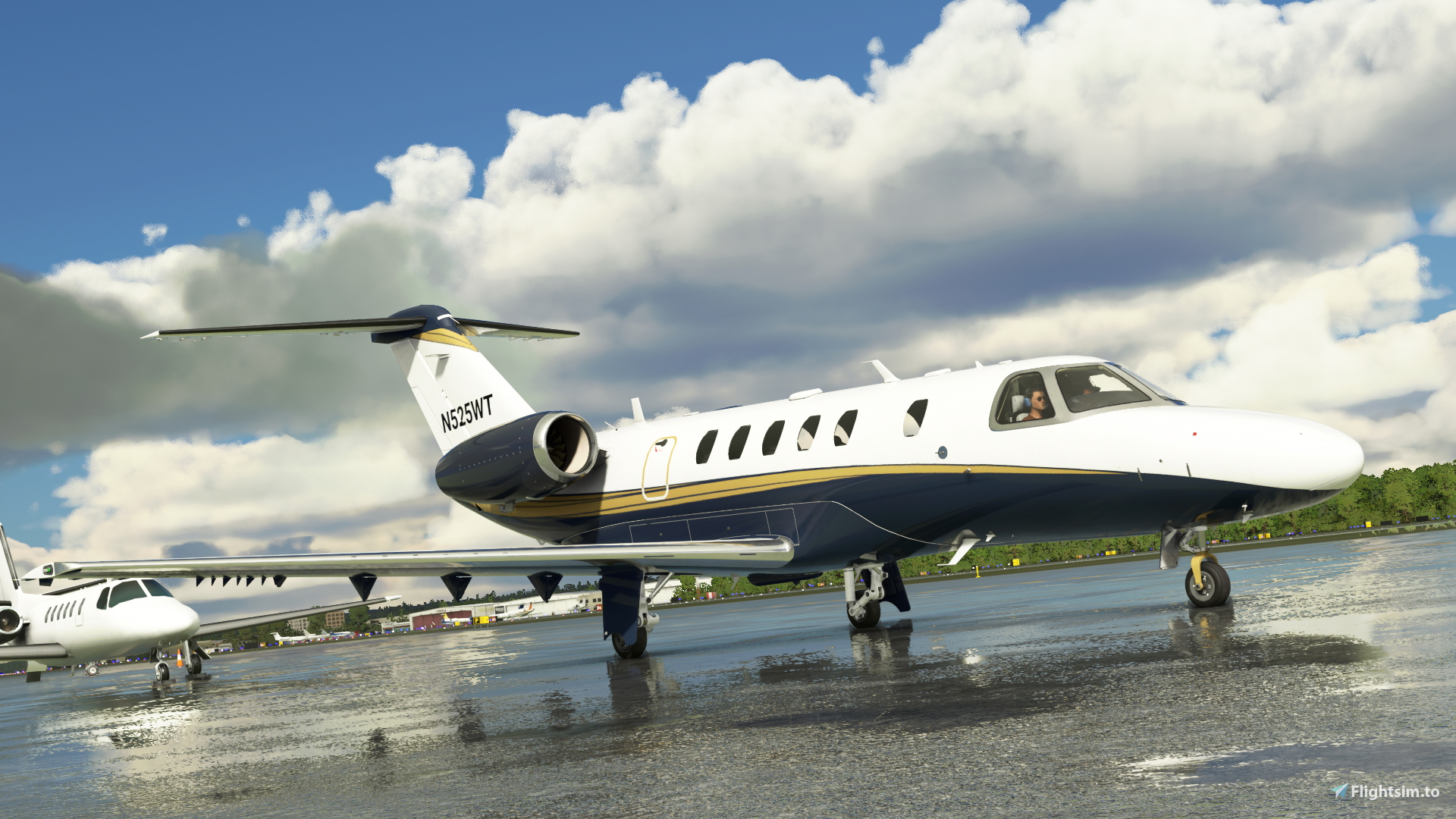 Citation CJ4 Kestrel Livery - Image 1