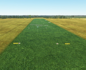 ED75 Sonderlandeplatz Fehmarn-Neujellingsdorf DE-0359 thumbnail 6