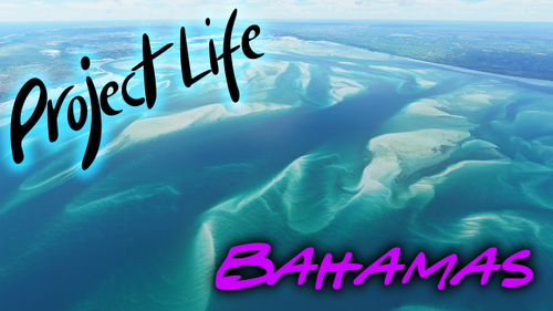 Project Life: Bahamas Megapack