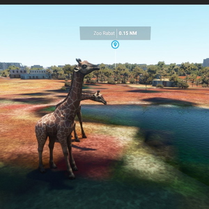 Rabat Morocco Scenery V.2 (Maroc) thumbnail 6