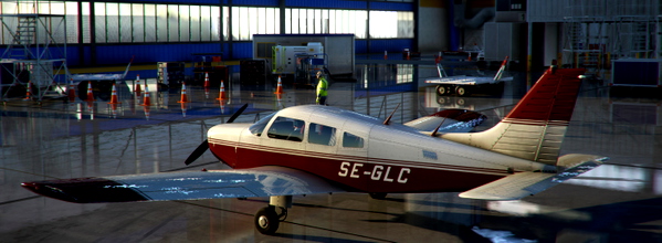 PA 28 Warrior II For Microsoft Flight Simulator