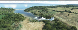 Shorter Trees / Tree Height Modification VERSION 4.0 for MFS2020 (shorter, realistic trees)  thumbnail 8
