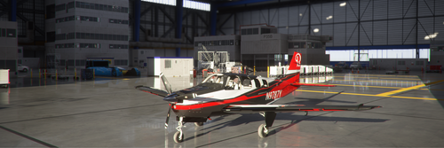 Bonanza G36 Black N Red