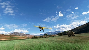 X-Cub Hornet (4K) thumbnail 12