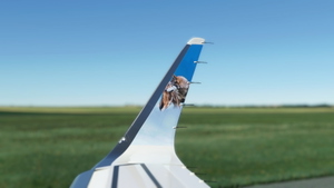 A32NX Frontier Airlines(Manteo The Red Wolf)[N383FR]8K thumbnail 6