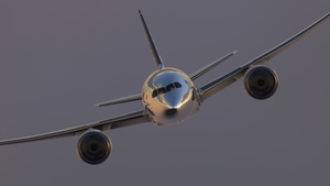 B787 American Airlines Chromed Edition 8K ultra thumbnail 3