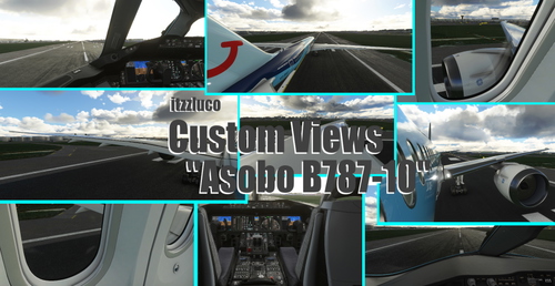 Asobo B787-10 - Custom Views