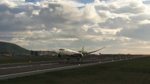 b787-10 Livery bamboo airway