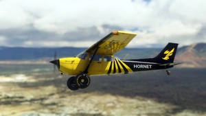 bagolu C172 Taildragger Hornet Livery thumbnail 1