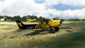 bagolu C172 Taildragger Hornet Livery thumbnail 5