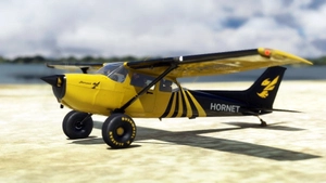 bagolu C172 Taildragger Hornet Livery thumbnail 2