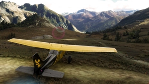 bagolu C172 Taildragger Hornet Livery thumbnail 3