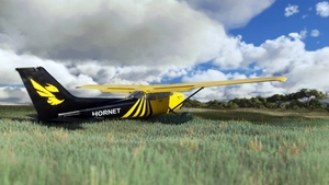 bagolu C172 Taildragger Hornet Livery thumbnail 4