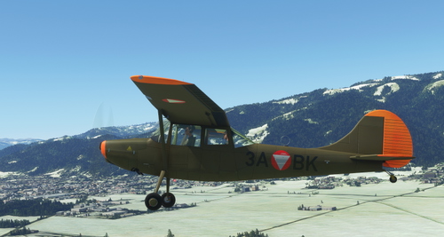 Cessna Bird Dog L-19A - Austrian Forces - 3A-BK