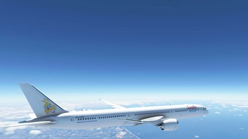 BOEING 787 sundor el al group livery                                      