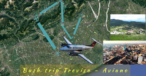 BUSH TRIP TREVISO - AVIANO