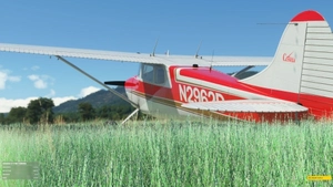 Carenado Cessna C170B N2962D thumbnail 1