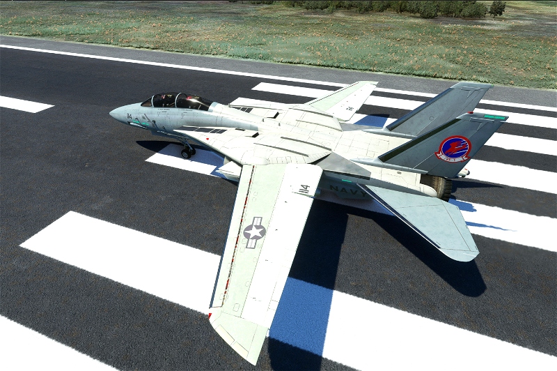 DC Designs Grumman F-14A | & TF-1 Simulator für Flight MSFS Repaint - Maverick Goose Top Ghostrider Tomcat Gun Microsoft