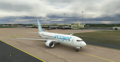 Ecojet - Bredok3D 737 MAX