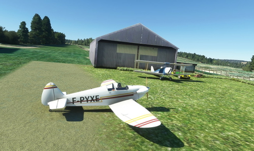 EGYL Glebe Airstrip for MSFS from Neil's farm Strips