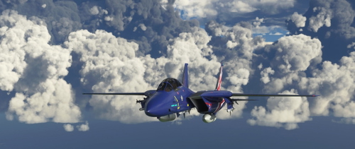 F14 TOMCAT MUCKA66 LIVERY(Requested Livery)