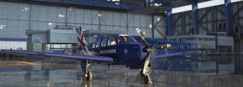 g36  BONANZA MUCKA66 (REQUESTED LIVERY)