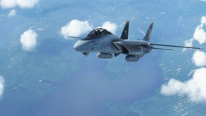 	Grumman F-14 B Tomcat VF-31 Tomcatters thumbnail 4