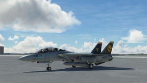 Grumman F-14 Tomcat VF-31 Tomcatters thumbnail 5