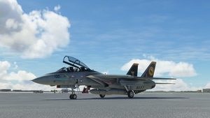 Grumman F-14 Tomcat VF-31 Tomcatters thumbnail 4