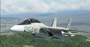 Grumman F-14A Tomcat Derpybolt Eddition thumbnail 5