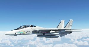 Grumman F-14A Tomcat Derpybolt Eddition thumbnail 4