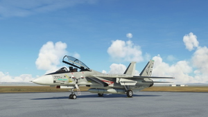 Grumman F-14A Tomcat Derpybolt Eddition thumbnail 6