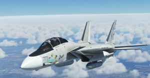 Grumman F-14A Tomcat Derpybolt Eddition thumbnail 3