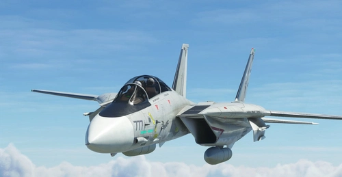 Grumman F-14A Tomcat Derpybolt Eddition