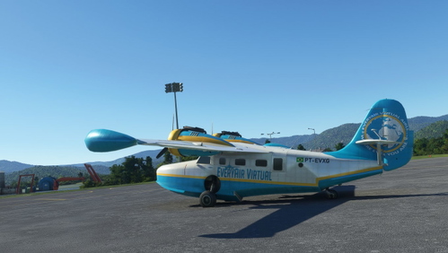 Grumman Goose EveryAir Livery
