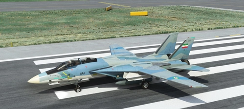 Iranian Air Force IIAF before 1979   With the flag & log F-14A
