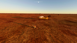 Murchison Radio Observatory (Australian SKA pathfinder) thumbnail 4