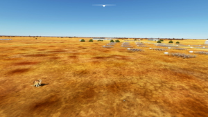 Murchison Radio Observatory (Australian SKA pathfinder) thumbnail 9