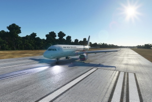 Niue International Airport Scenery Enhancement  thumbnail 6