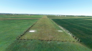 NZHA Hawera Aerodrome Scenery Overhaul thumbnail 5