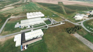 NZOM Omaka Aerodrome Fixed + Full Scenery Overhaul thumbnail 9