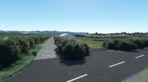 NZWV Waihi Beach Airport Overhaul thumbnail 3
