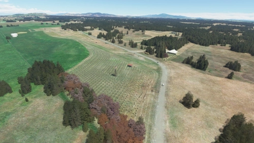 Paradise Air Ranch (WA62)