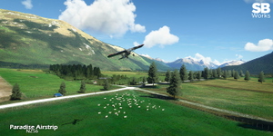 Paradise Airstrip (NZ56) thumbnail 5