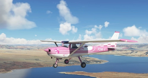 Pink Menace Cessna 152