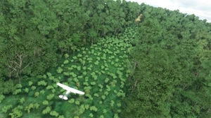 Fly in more than 160 Bush Strips at Amazonia Jungle / Voe por + de 160 Pistas de Garimpo thumbnail 4