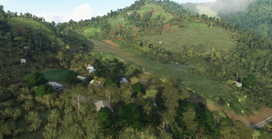 PNG Bush Strips Mega Pack SU5 thumbnail 4